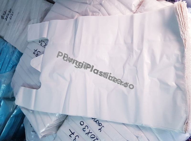 Pungi maieu 20 kg